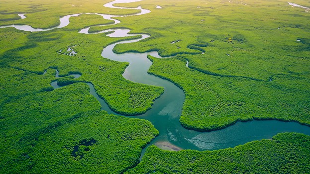 an aerial view of wetlands